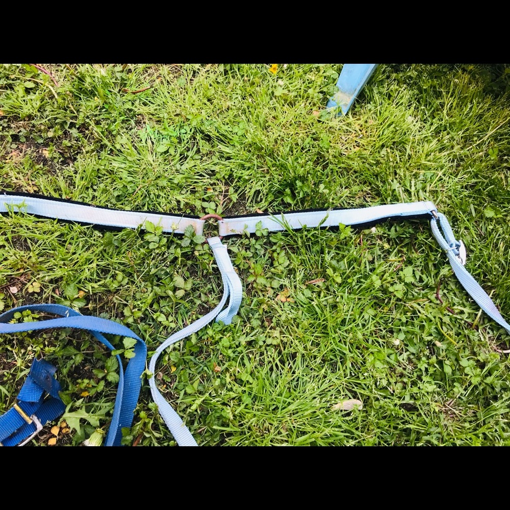 Western baby blue breast collar